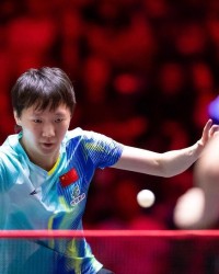 乐鱼官方-3-1进16强！中国女乒27岁王牌再闪耀：追赶孙颖莎冲世界第1？