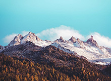 开云APP：让生活从“选择多”变成“选择更好”的艺术